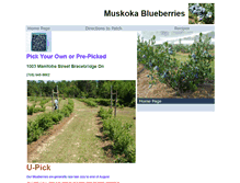 Tablet Screenshot of muskokablueberries.ca